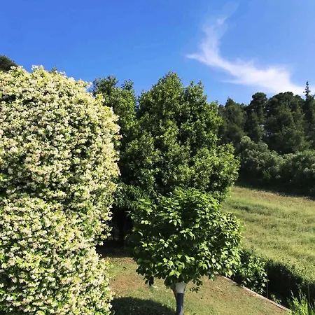 Holiday home Camelia Elegant With Orchard & View
