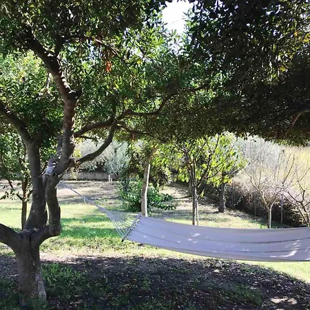 Holiday home Camelia Elegant With Orchard & View Elani